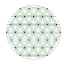 Flower of Life